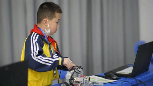 第2届仙桃市青少年科技创新大赛竞技项目决赛圆满落幕