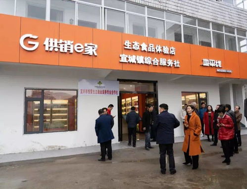 邂逅红美人,一场甜蜜的相遇