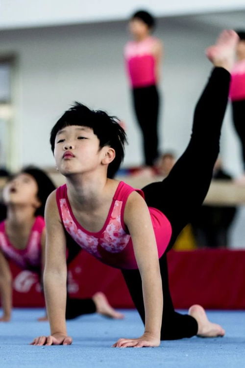 中国到底哪里最盛产奥运冠军