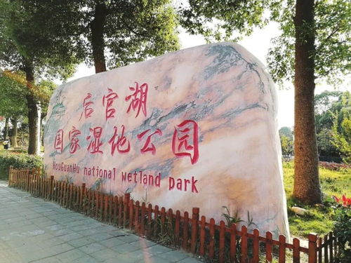 免费 2021年第波福利暗号,来仙桃新天地get