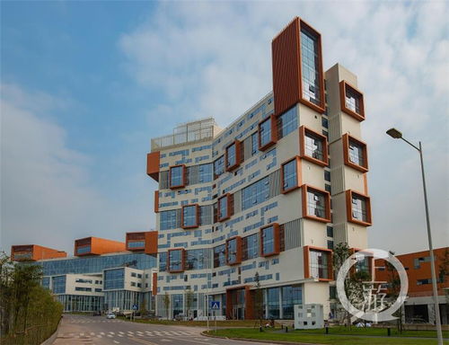 刚刚开院的仙桃大数据学院 这些建筑潮爆了