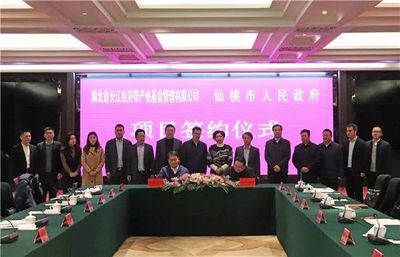 好消息!仙桃将建小米产业园,还获10个亿引导资金用来…