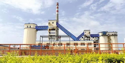 仙桃中星授权涂多多为唯一跨境销售平台