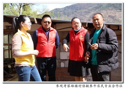 支部共建共创 助力乡村振兴 仙桃人才