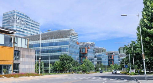 渝北发展软件信息服务业 培育新经济增长点，打造仙桃人才高地