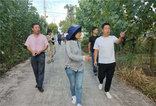 天台县“仙桃”走红，家庭农场喜迎省农科院青睐