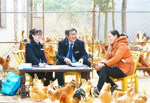 贷后回访 仙桃人才发展金融支持的新篇章